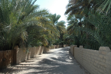Al Ain Oasis